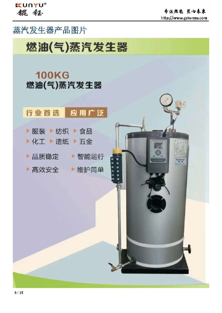 立式100kg燃?xì)馊加驼羝l(fā)生器