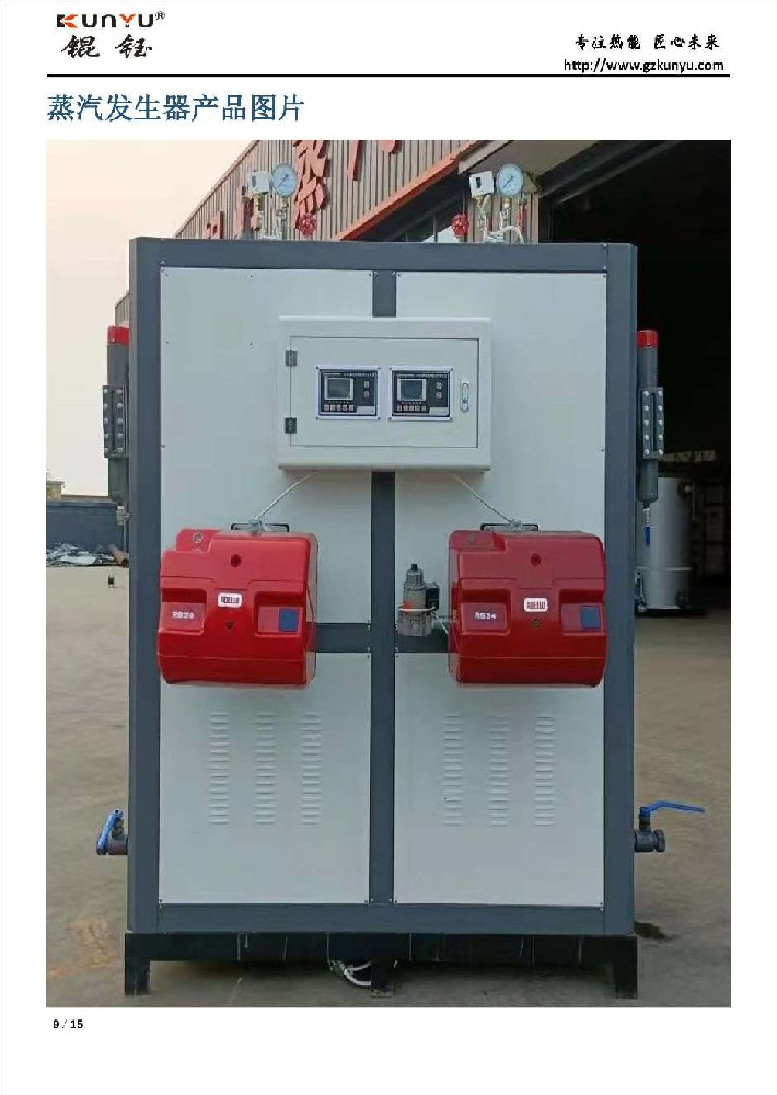 立式600kg燃?xì)馊加驼羝l(fā)生器